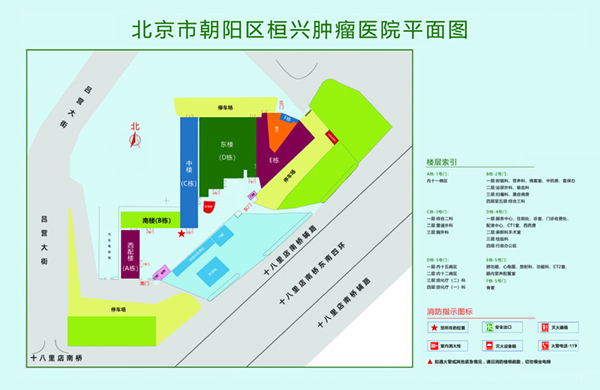 操死小逼视频北京市朝阳区桓兴肿瘤医院平面图